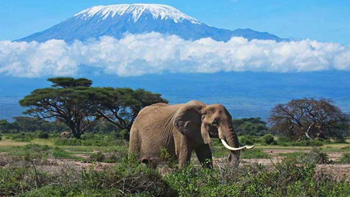 Mount-Kirimanjaro-National-park